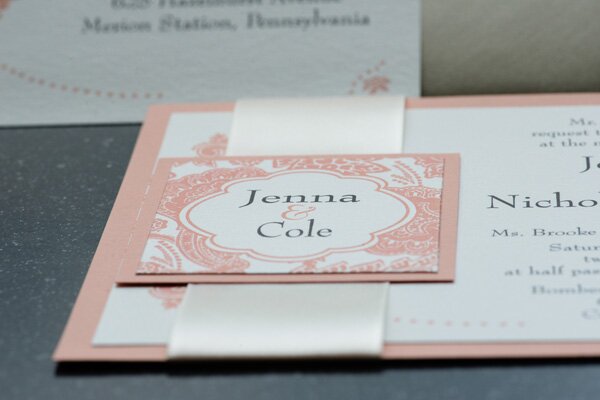 Blush_Pink_Pennsylvania_Wedding_by_New_Chapters_Photography.08 Blush Pink Wedding Invitation