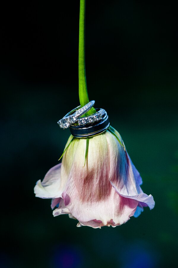 Blush_Pink_Pennsylvania_Wedding_by_New_Chapters_Photography.17 Wedding Rings Tulip