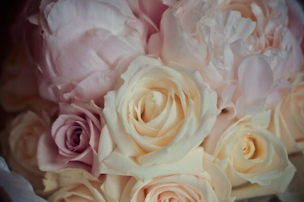 Classic_Intimate_New_Zealand_Wedding_by_Shine_Studios.06