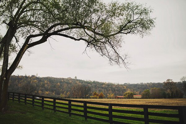 Rustic_Kentucky_Plantation_Wedding_by_Ariel_Renae_Photography.05