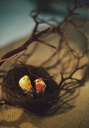 Rustic_Kentucky_Plantation_Wedding_by_Ariel_Renae_Photography.29