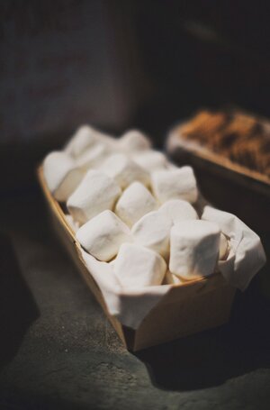 Rustic_Kentucky_Plantation_Wedding_by_Ariel_Renae_Photography.37